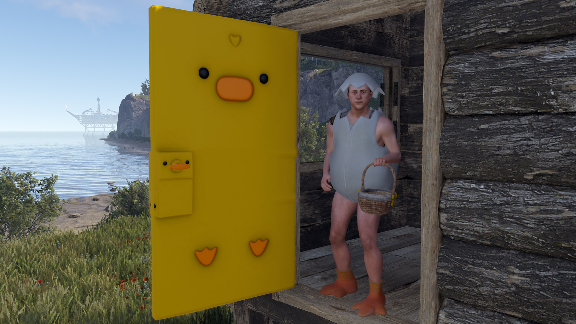Easter Chick Door