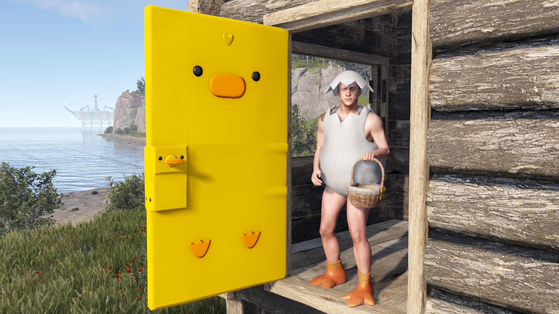 Easter Chick Door
