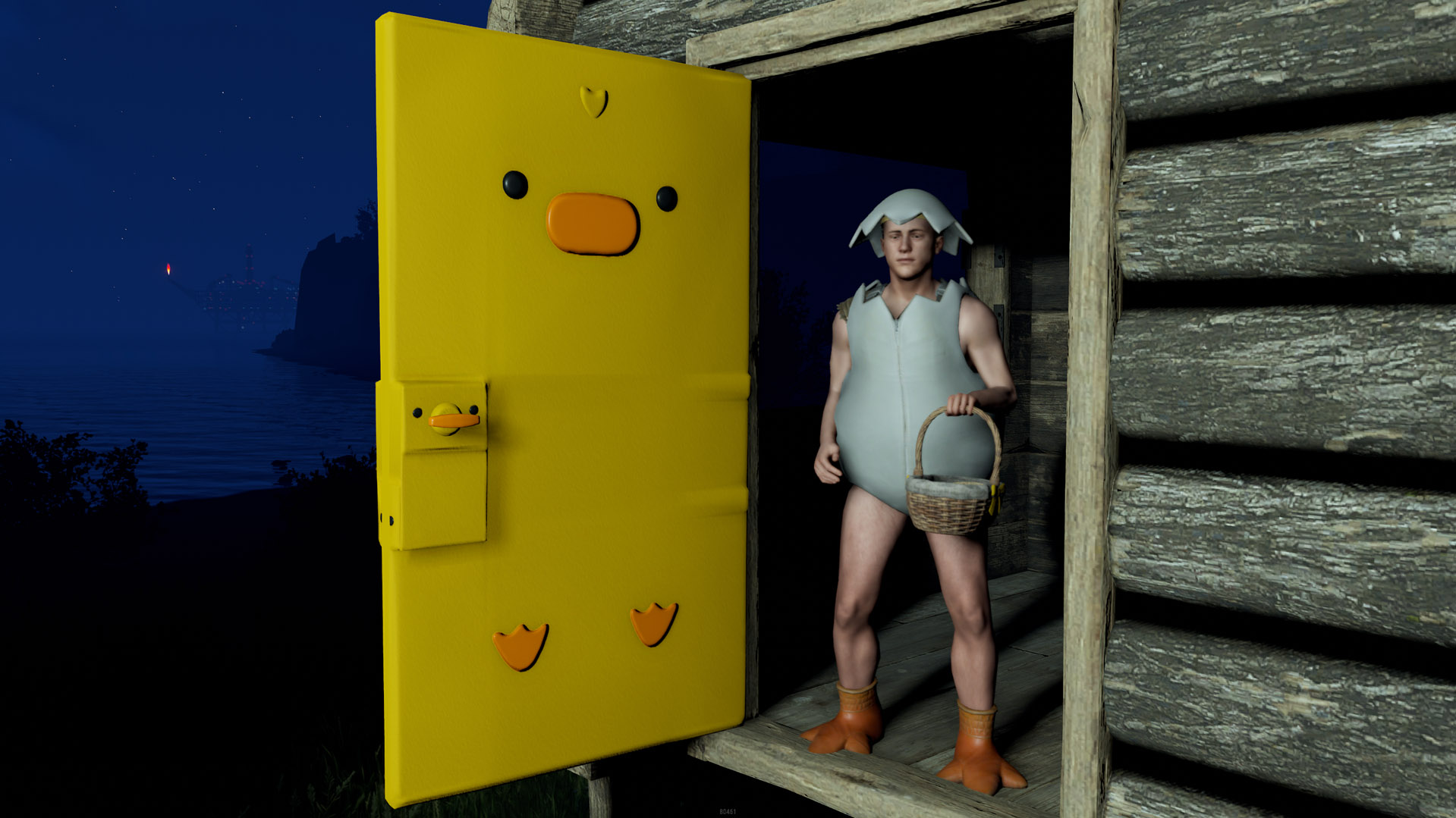 Easter Chick Door