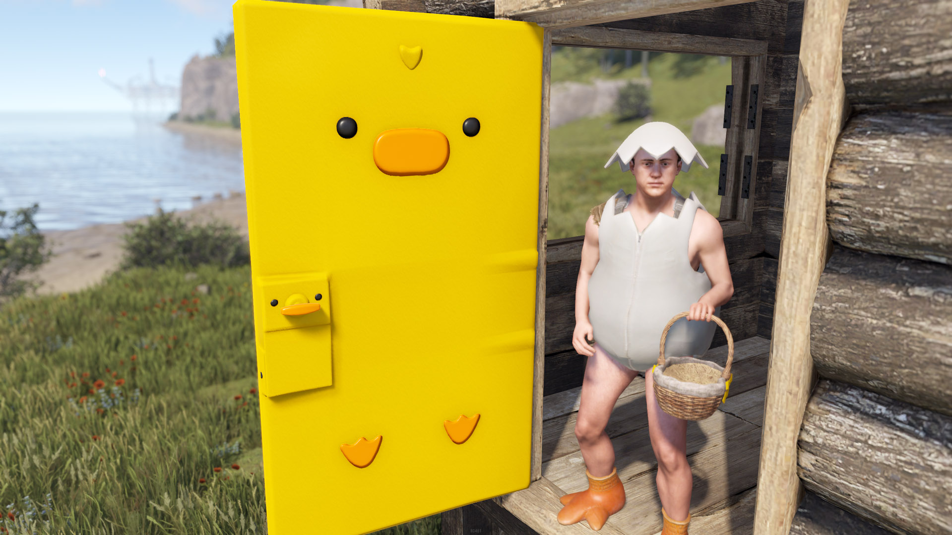 Easter Chick Door