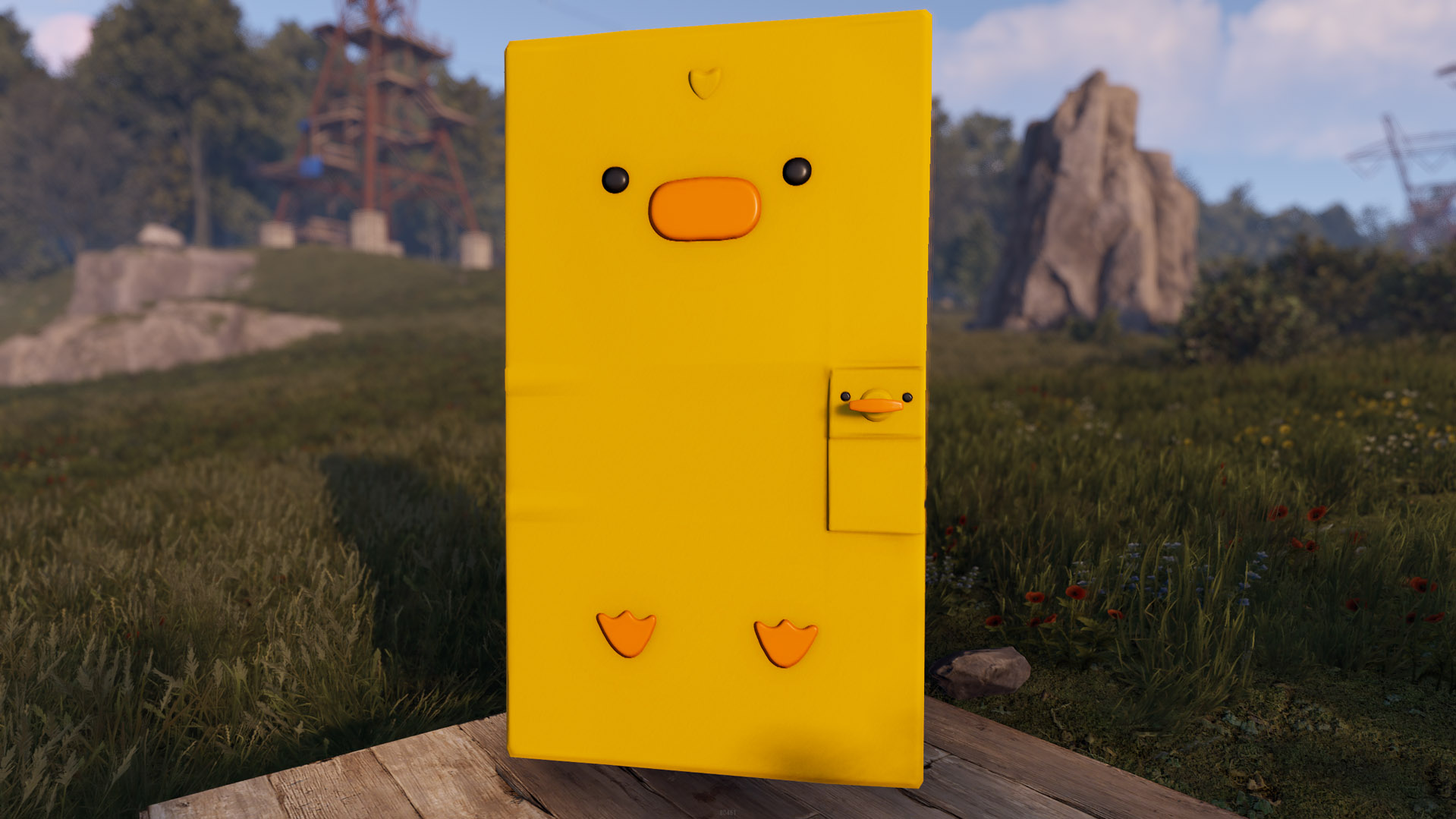Easter Chick Door