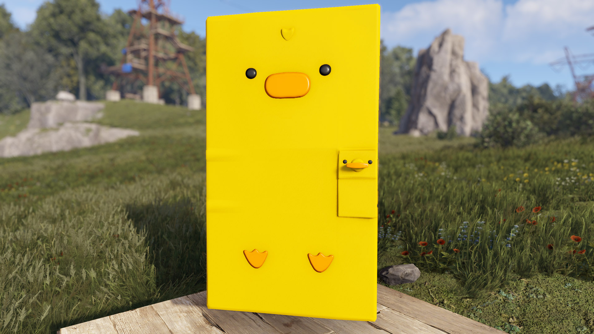 Easter Chick Door