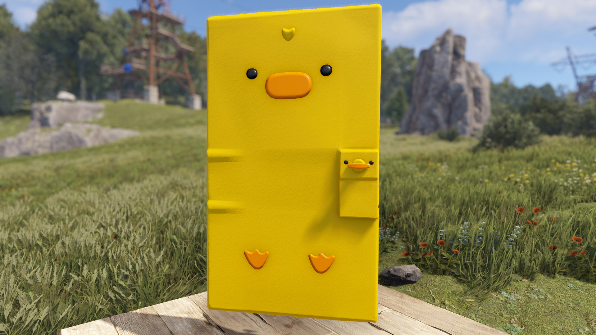 Easter Chick Door