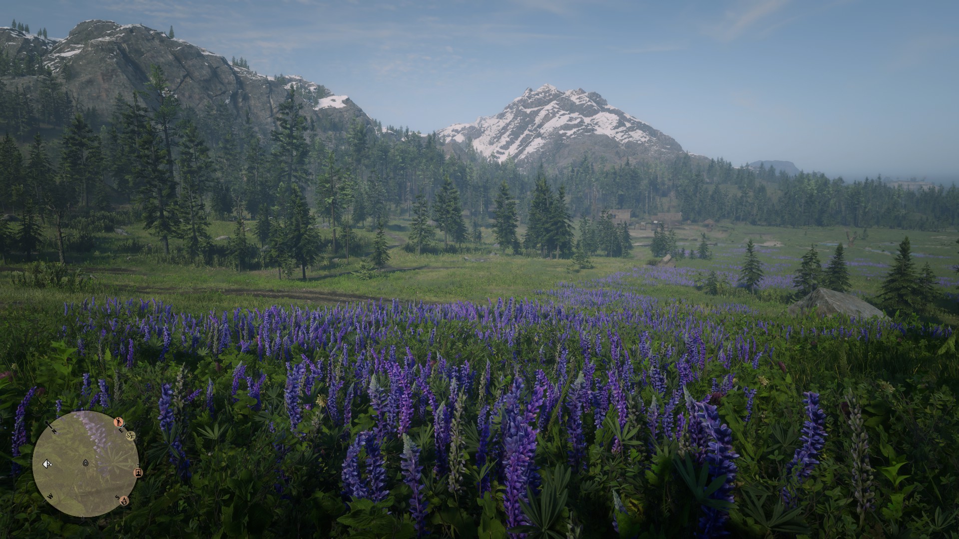 Red Dead Redemption 2 Screenshot - Big Valley