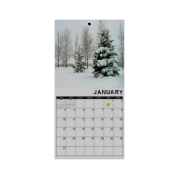 Calendar - January