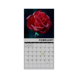 Calendar - February