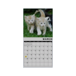 Calendar - March
