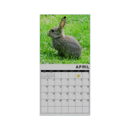 Calendar - April