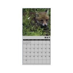 Calendar - May