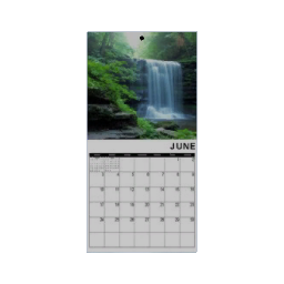 Calendar - June