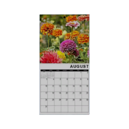 Calendar - August