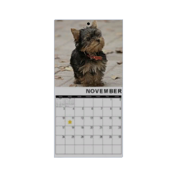 Calendar - November