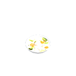 Bowl of Chicken Soup