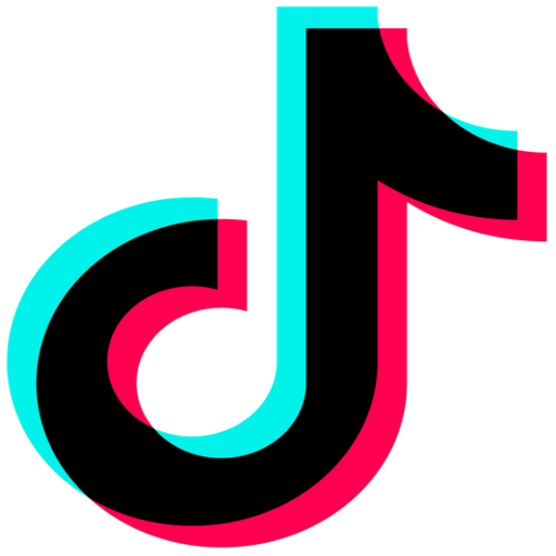 Tiktok VOX