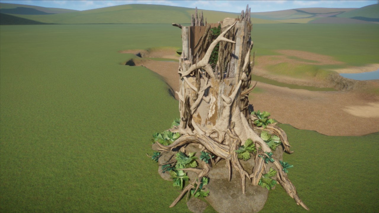 Eucalyptus tree stump