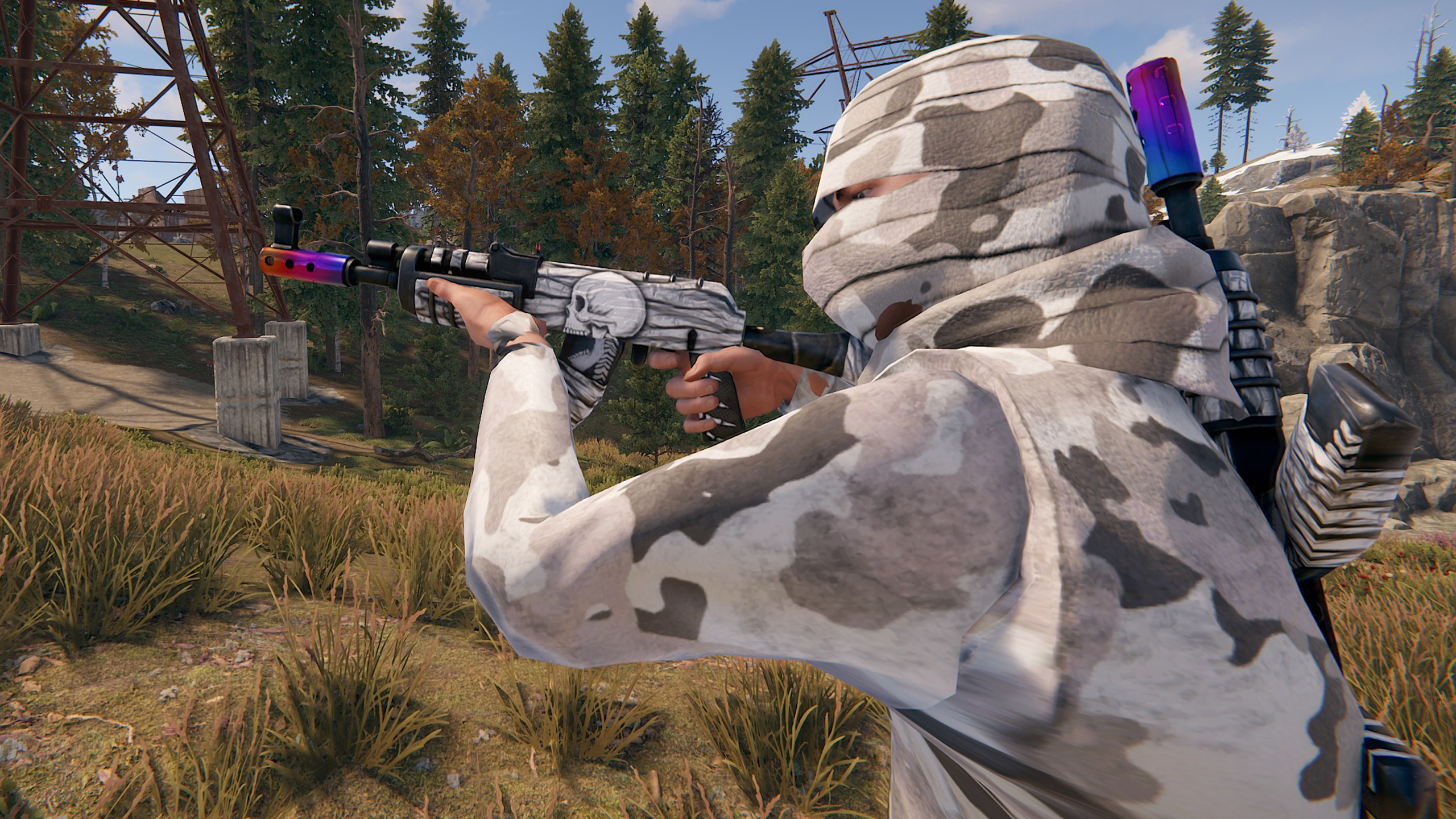 Arctic Skull AR