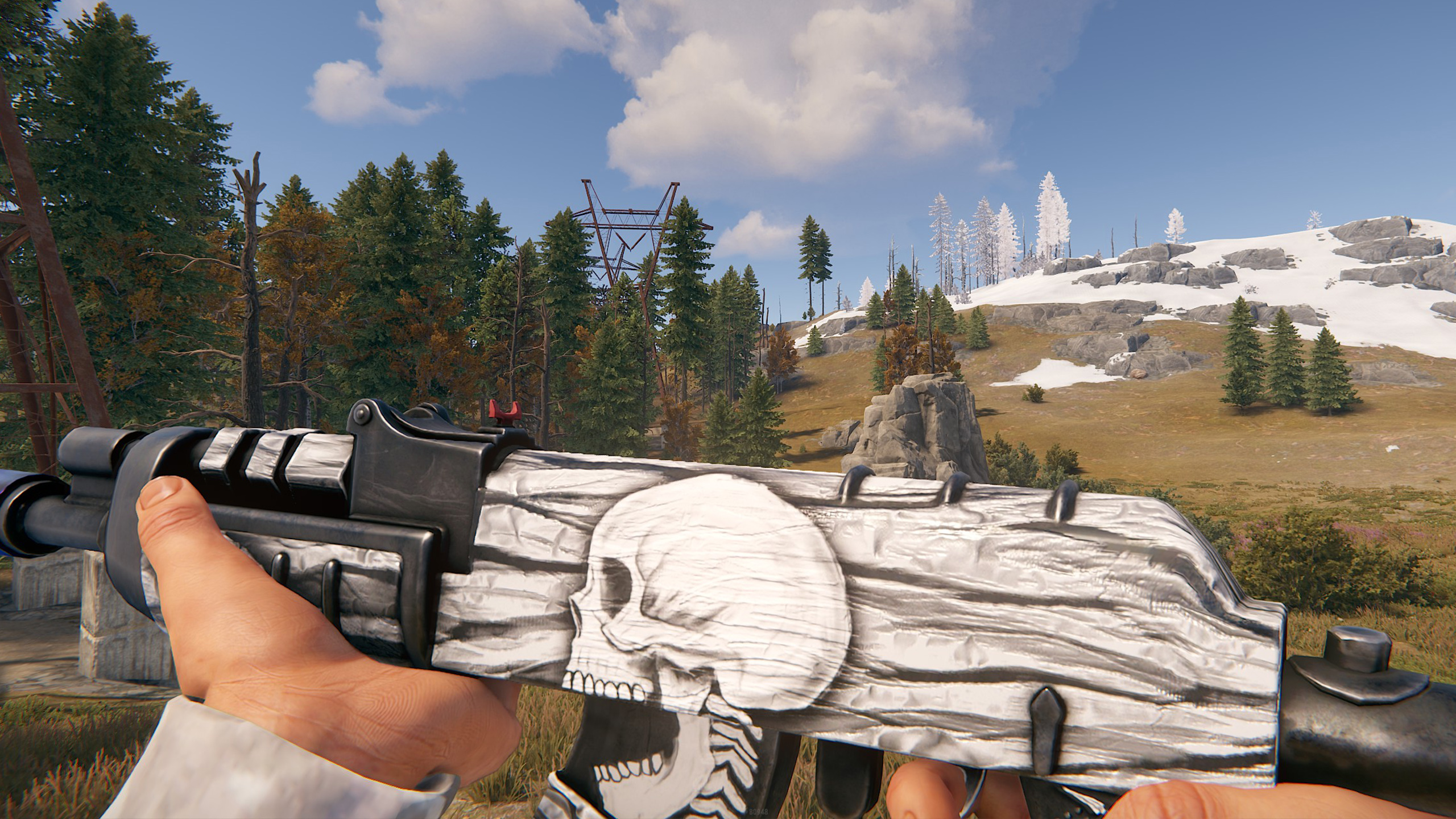 Arctic Skull AR
