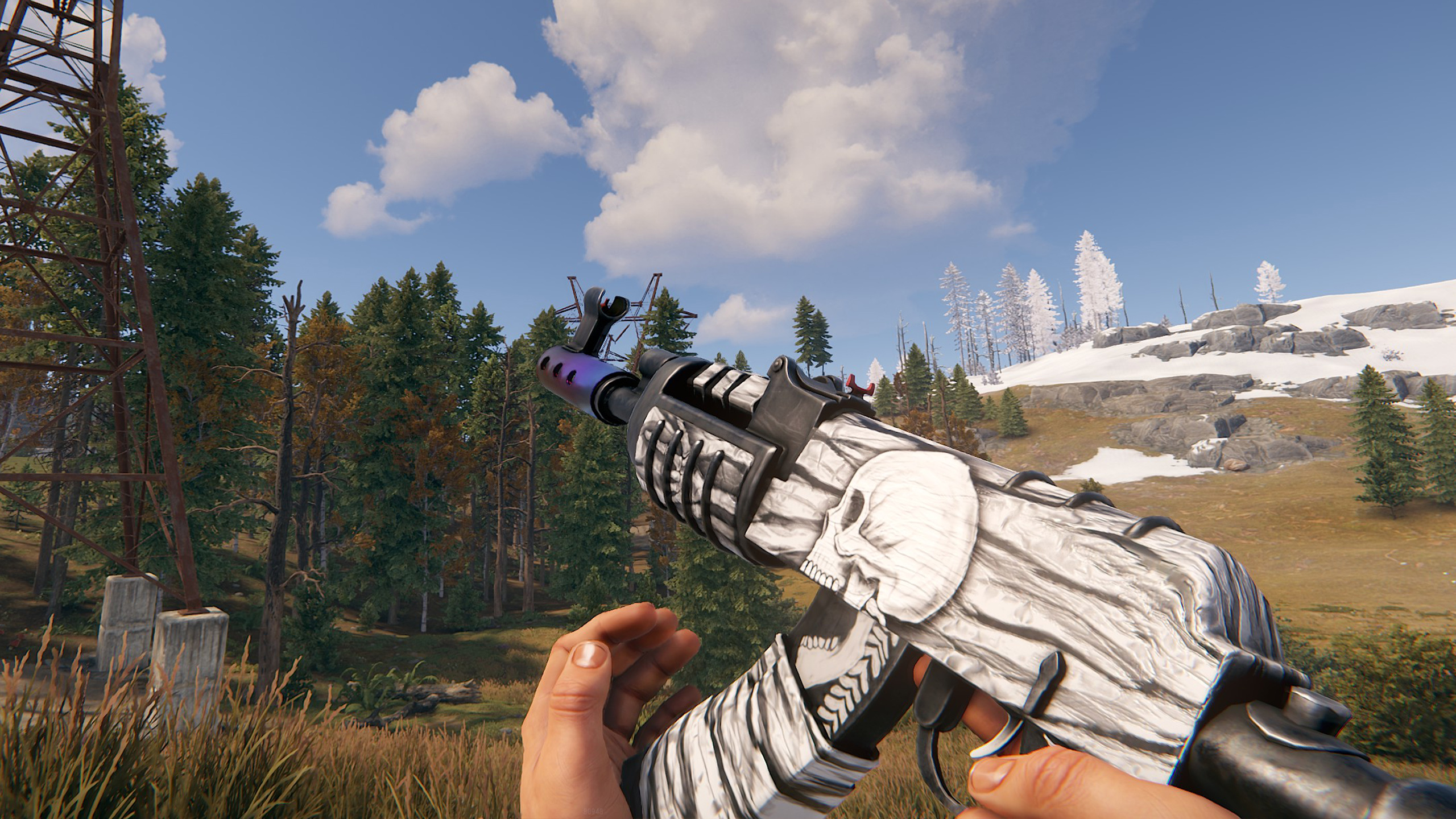 Arctic Skull AR