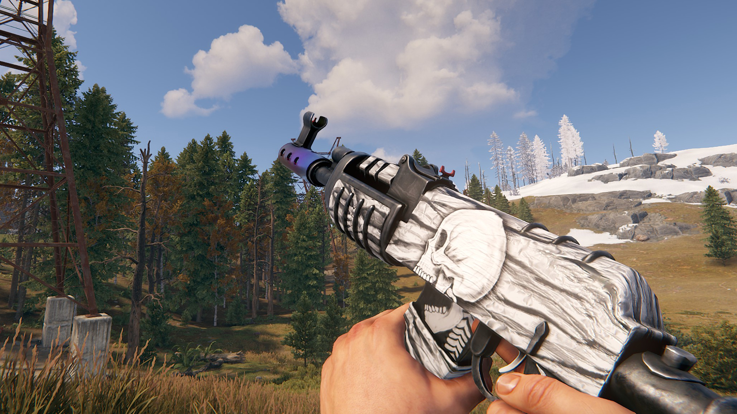 Arctic Skull AR