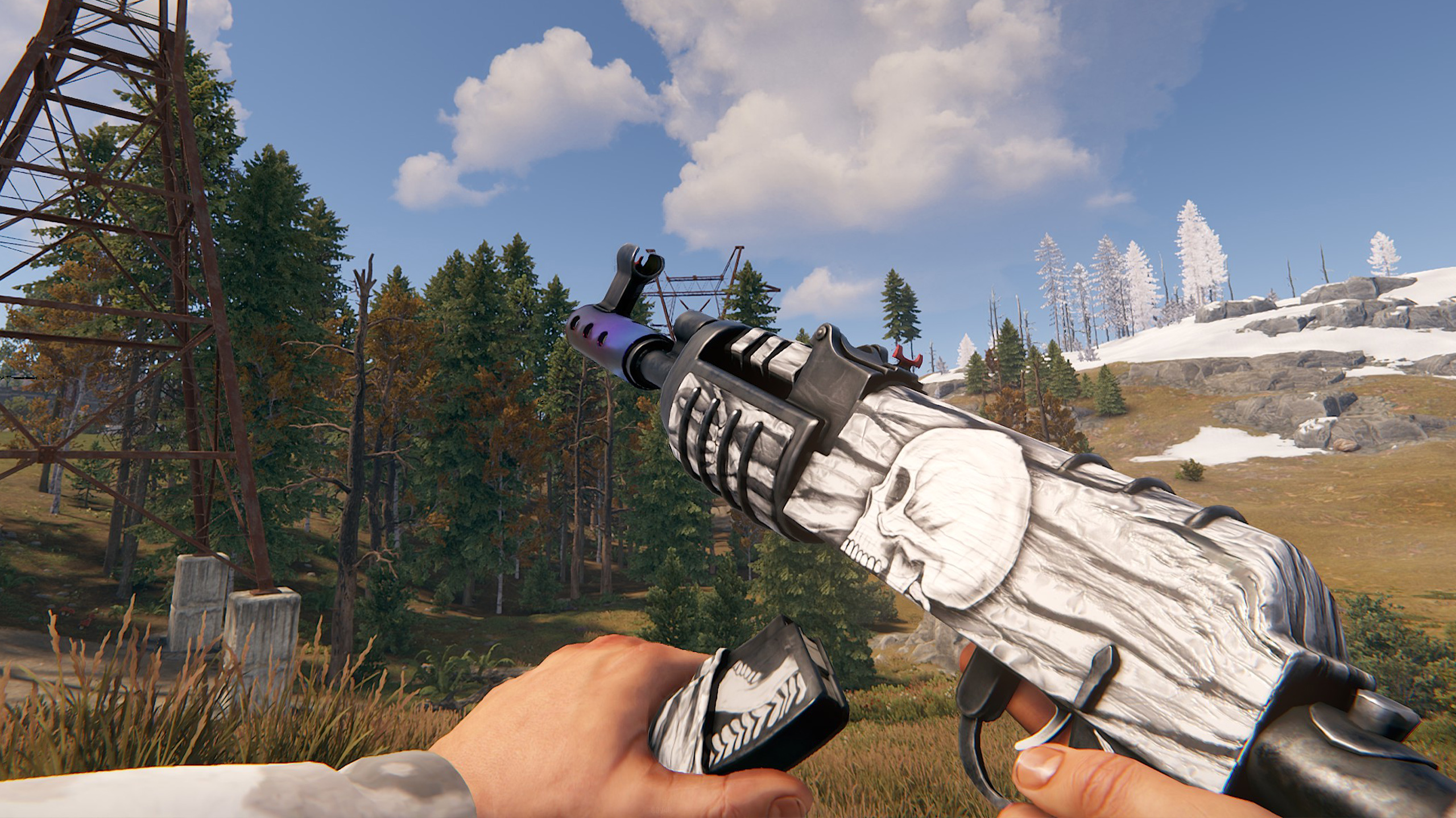 Arctic Skull AR
