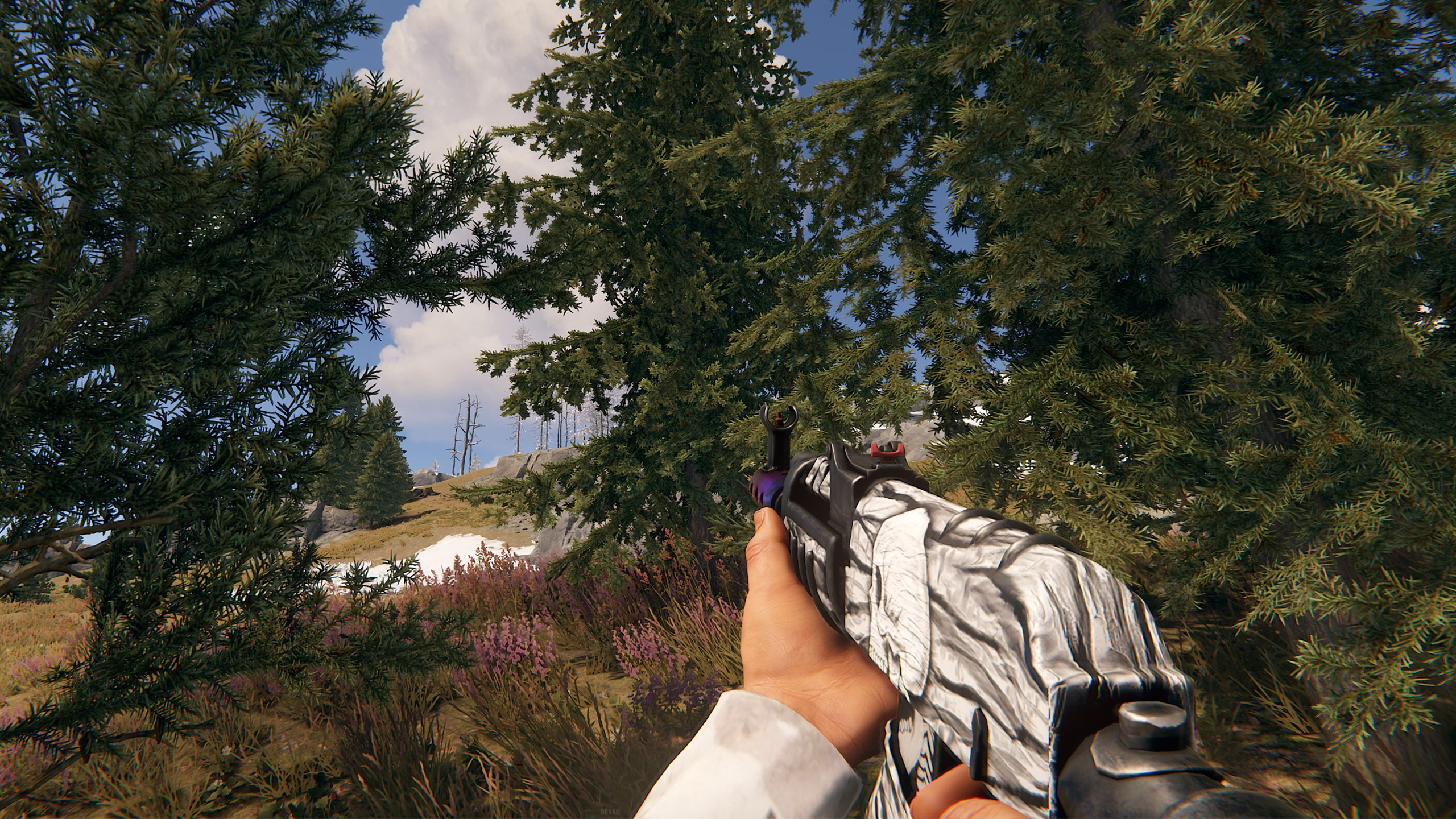 Arctic Skull AR
