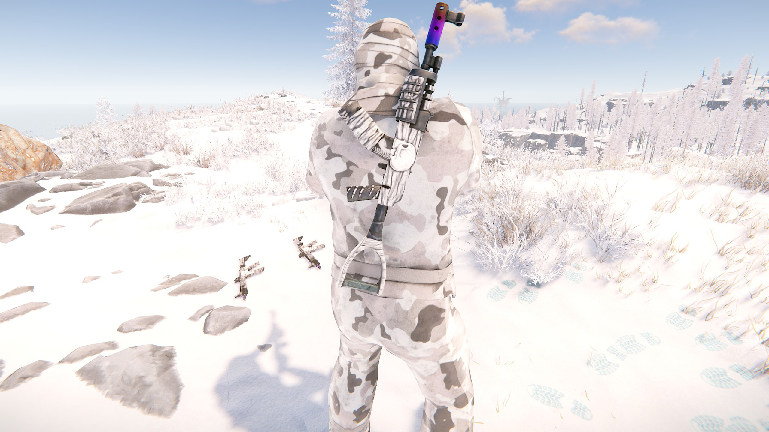 Arctic Skull AR