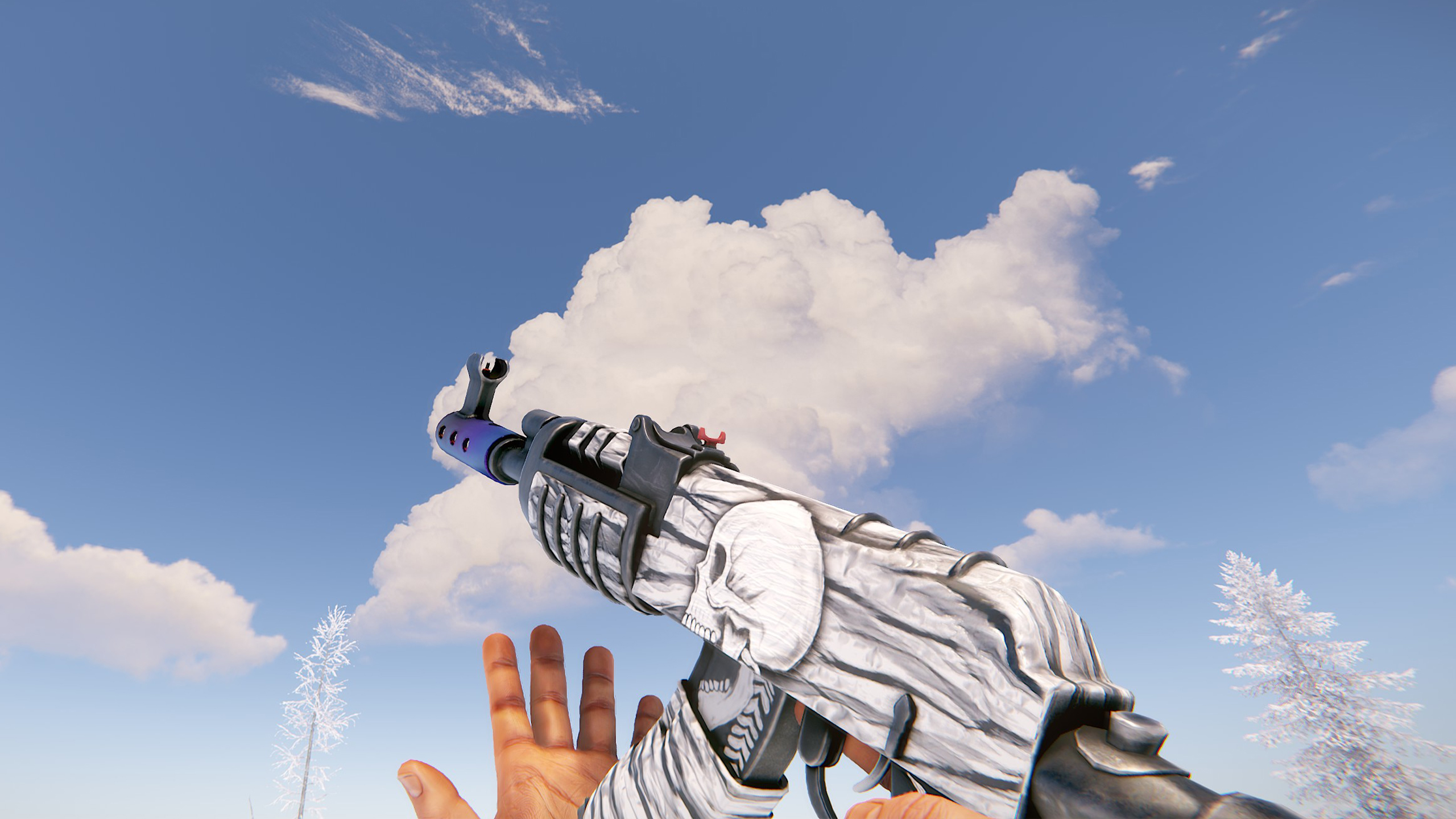 Arctic Skull AR