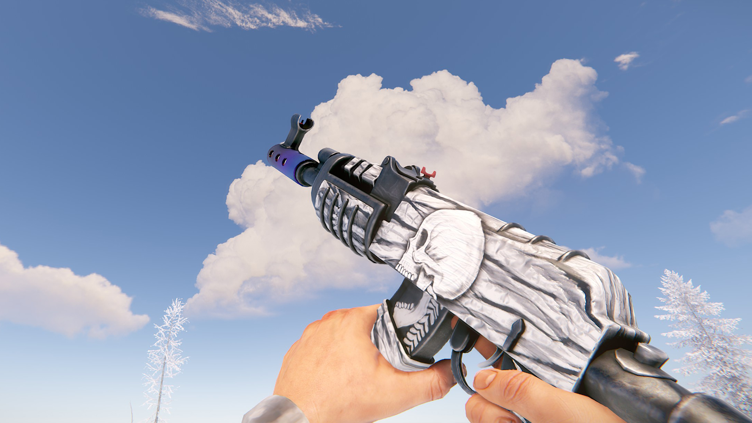 Arctic Skull AR