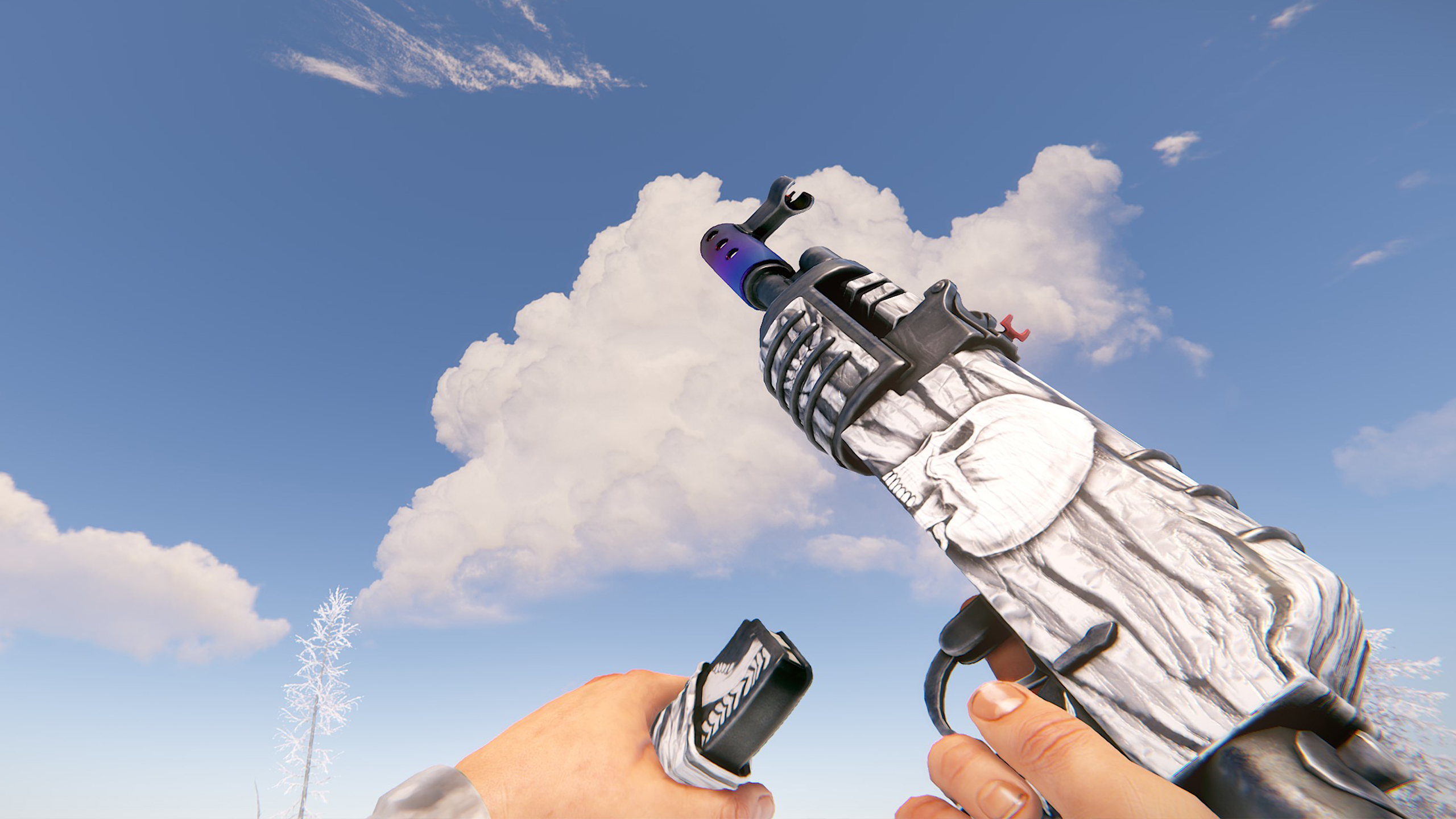 Arctic Skull AR