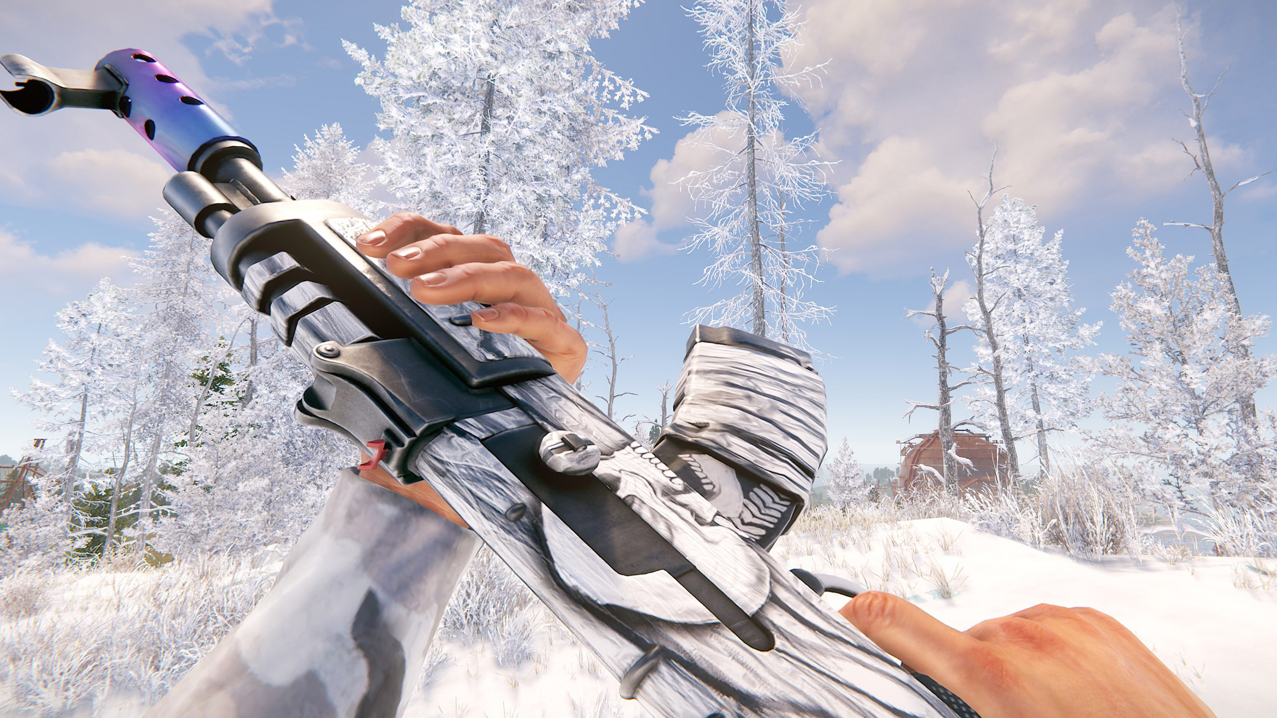 Arctic Skull AR