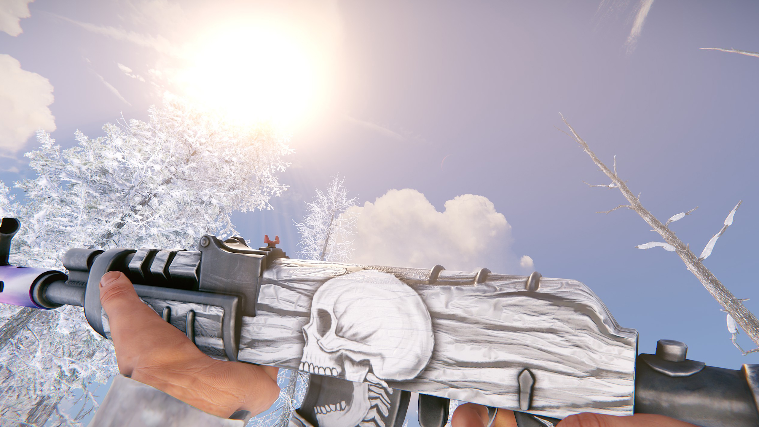 Arctic Skull AR