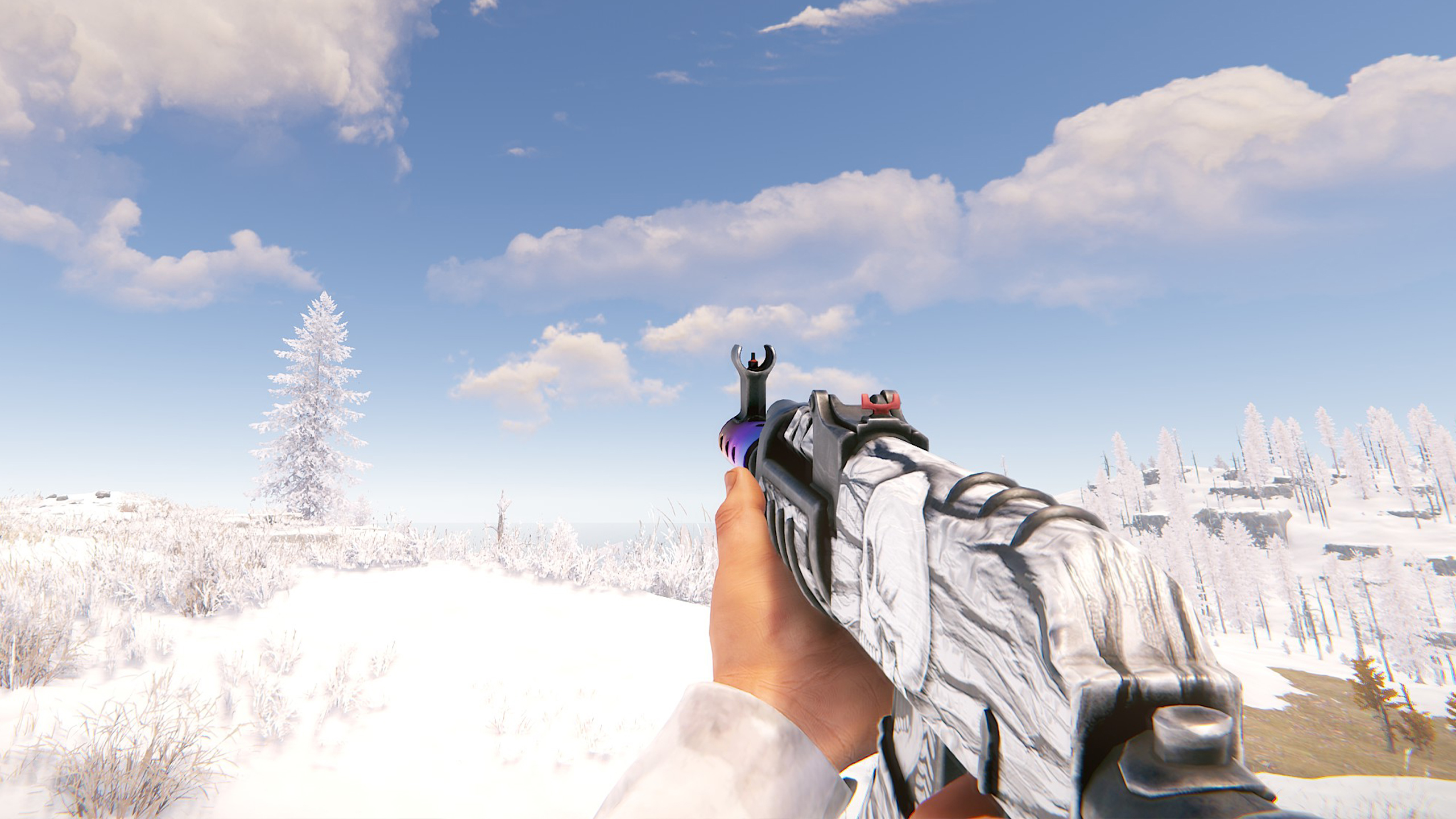 Arctic Skull AR
