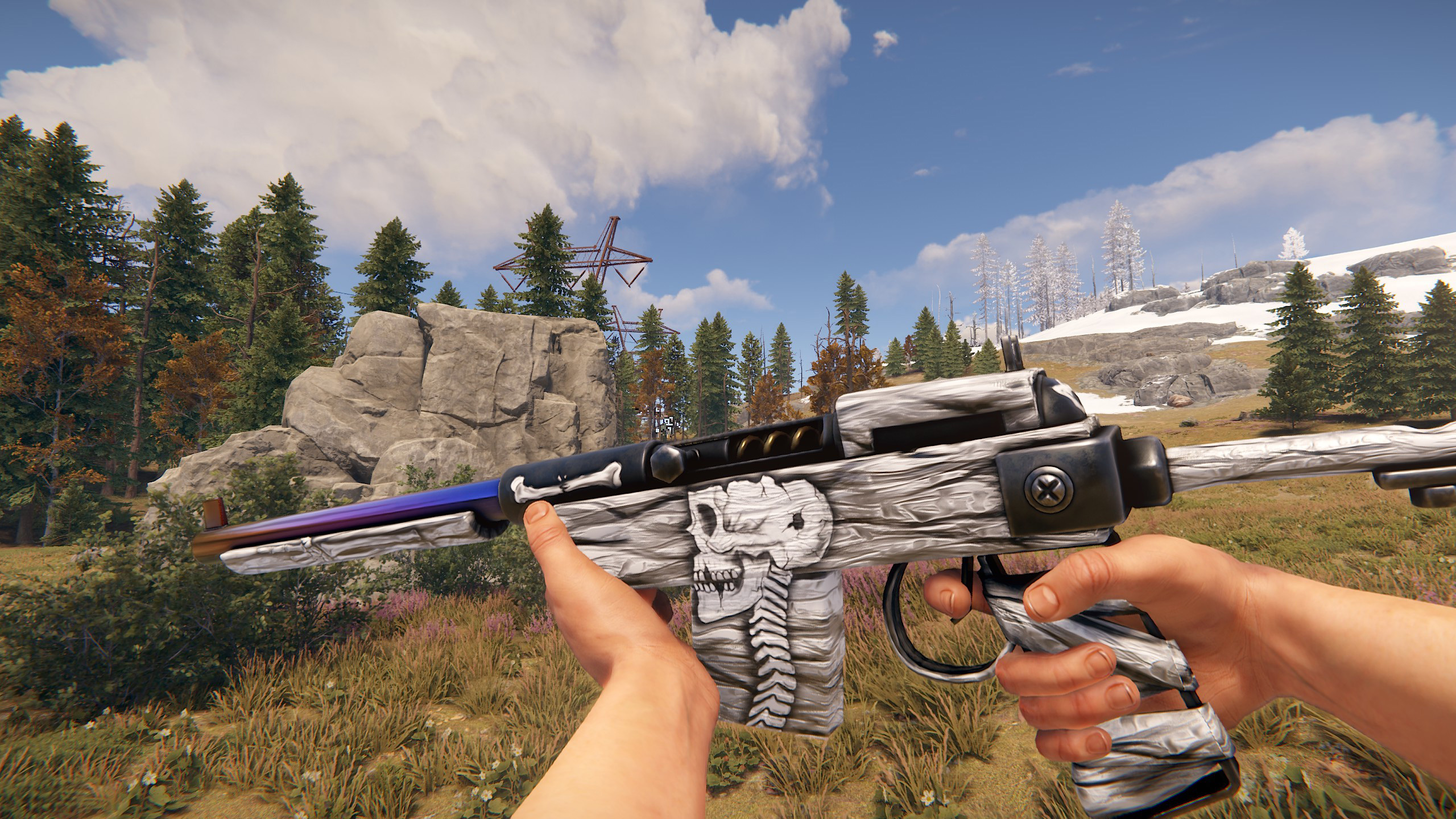 Arctic Skull SAR