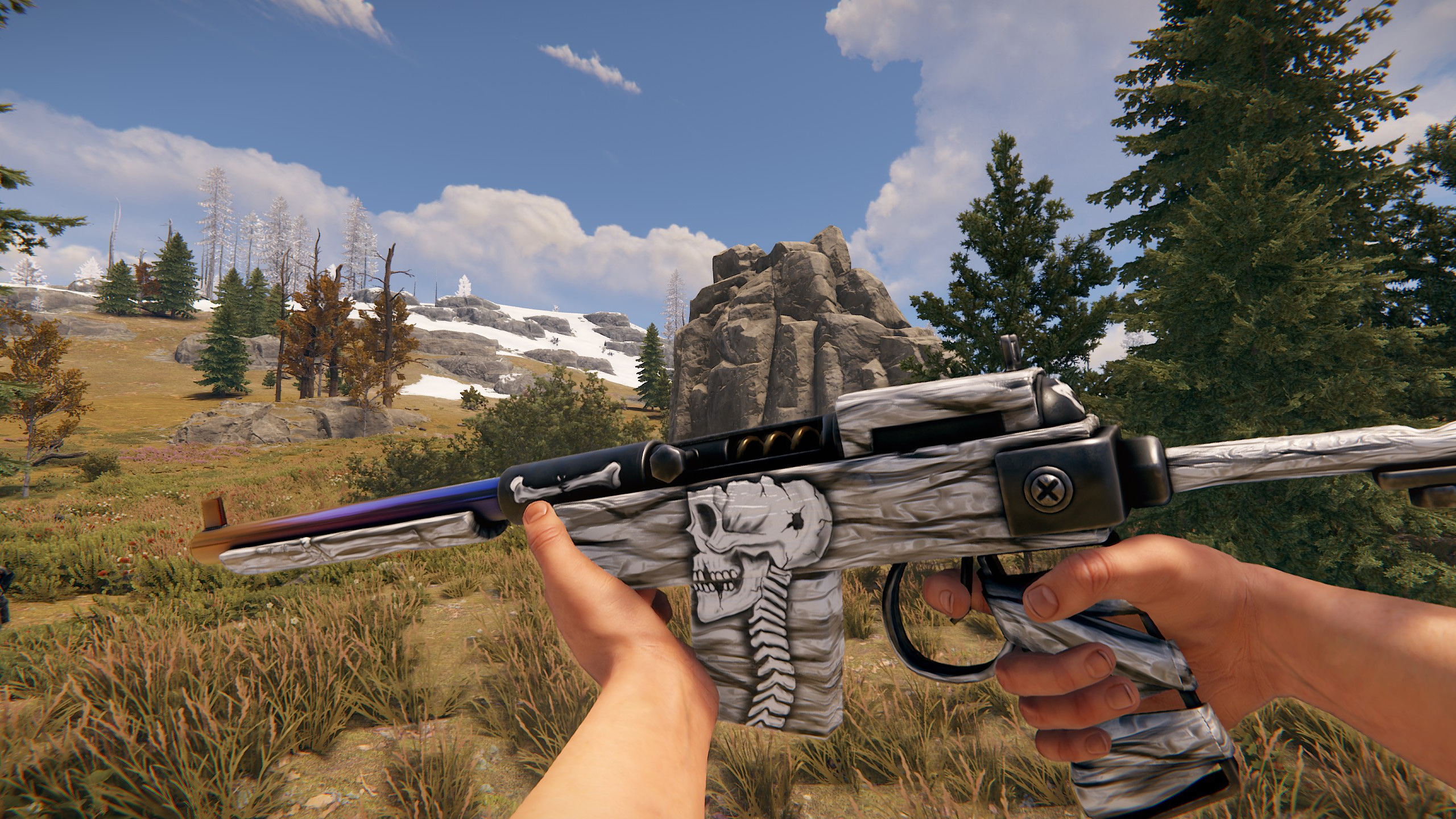 Arctic Skull SAR