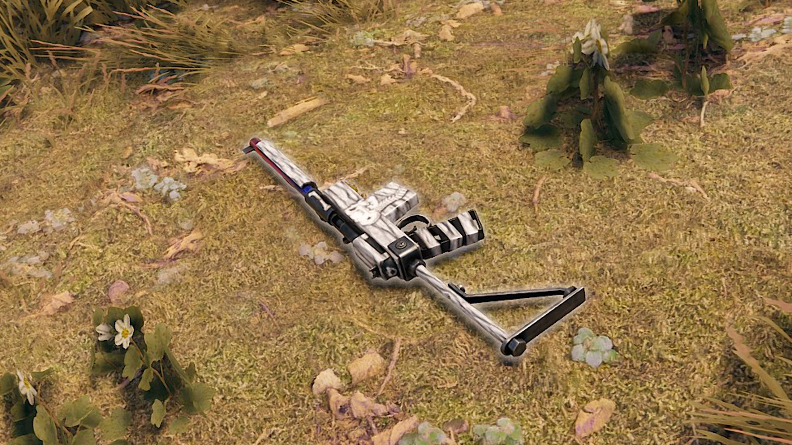 Arctic Skull SAR