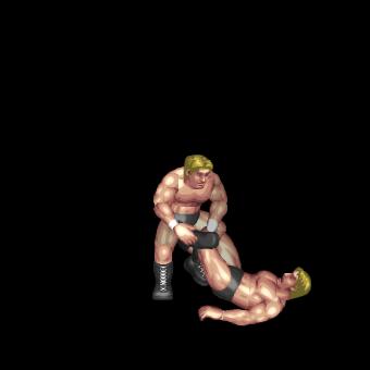Figure 4 Leg Lock Pin