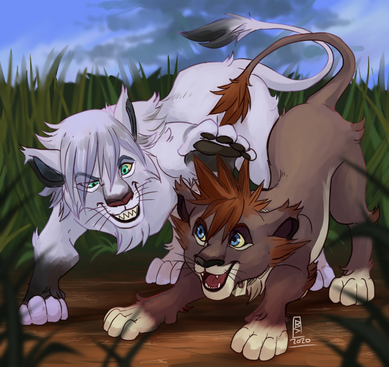 Lion 7