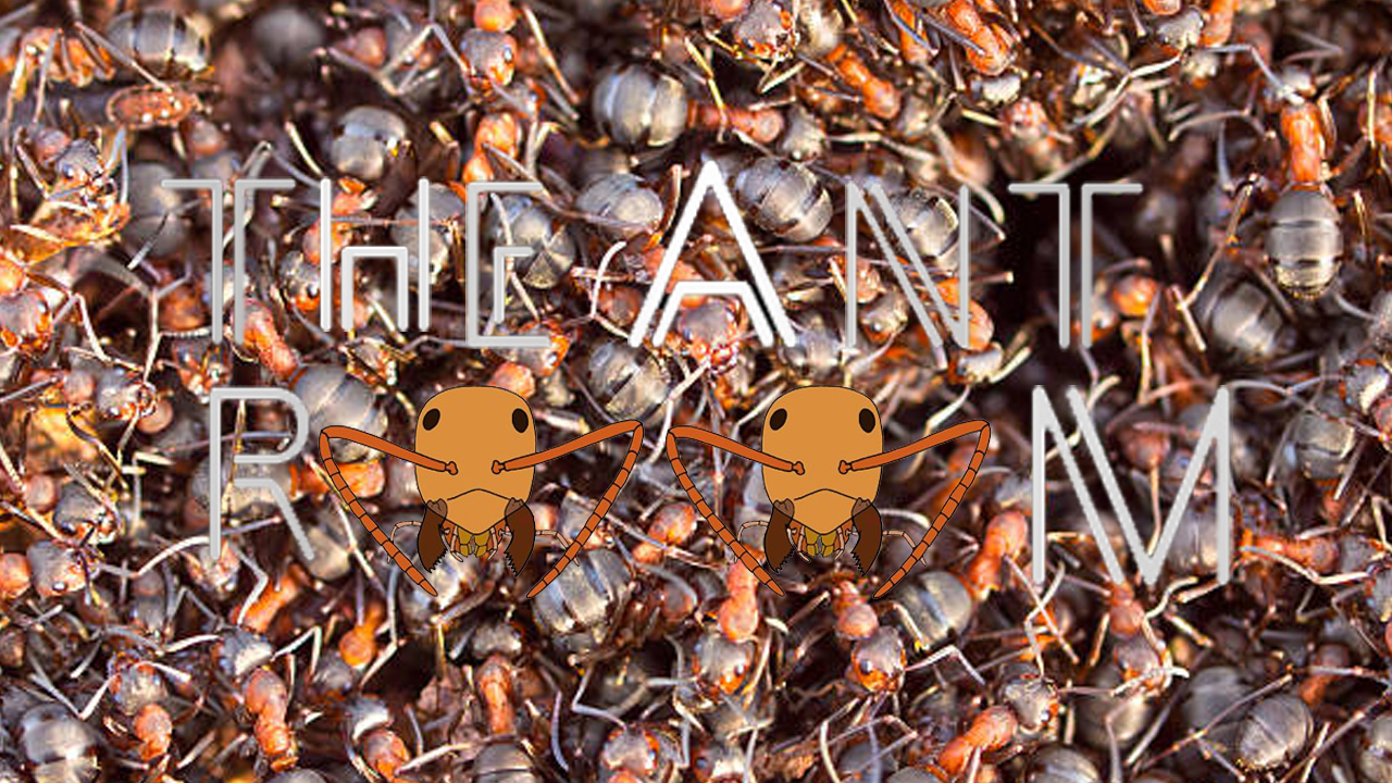 the ant room