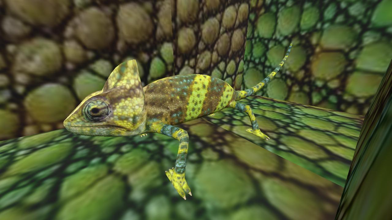chameleon room