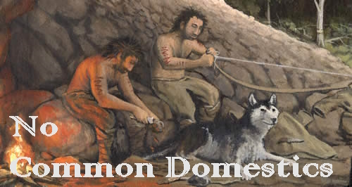 No Common Domestics (Beta)