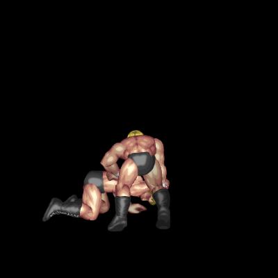 Fujiwara Armbar (mount)