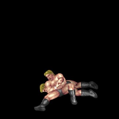 Fujiwara Armbar (back mount)
