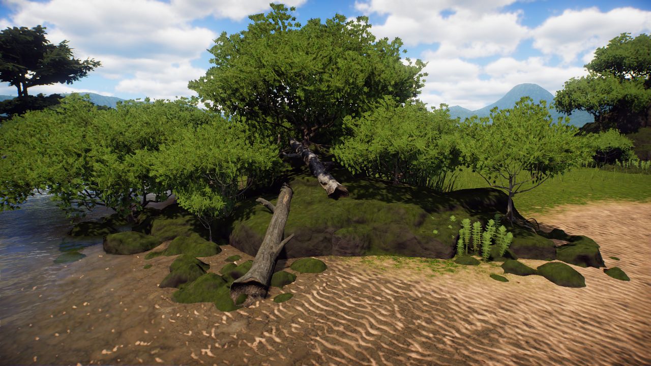 Mangrove Rock