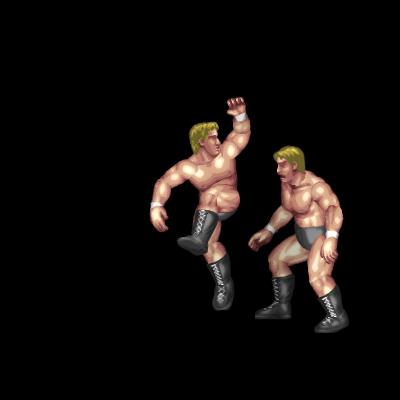 Crescent Side Kick (front grapple)