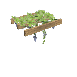 WfS VY Pergola2m mid100 mLmG