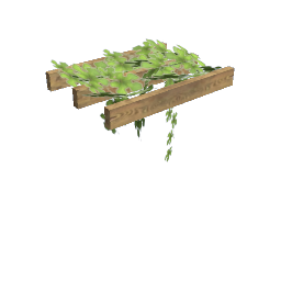 WfS VY Pergola2m mid100 mLoG