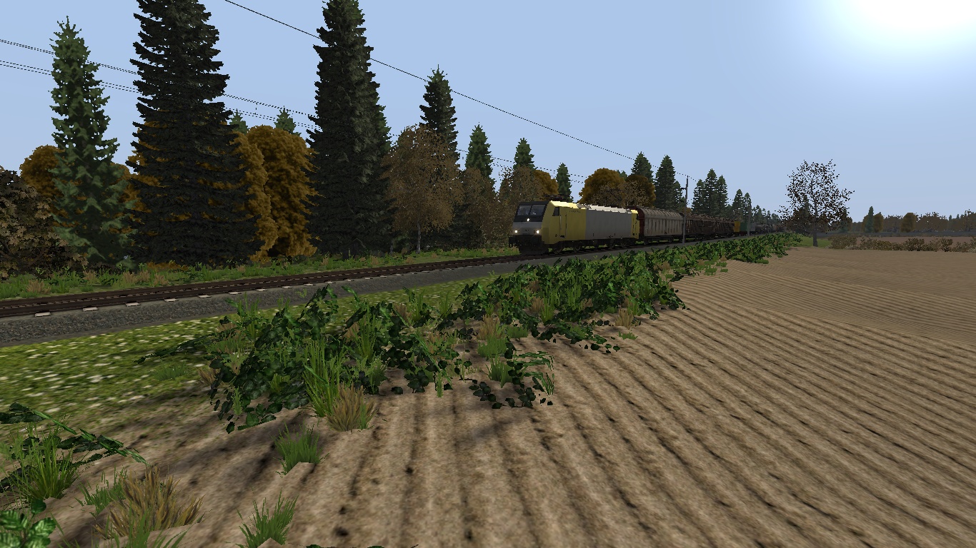 [Blackforestdriver] Mischer aus Neustadt an der Donau