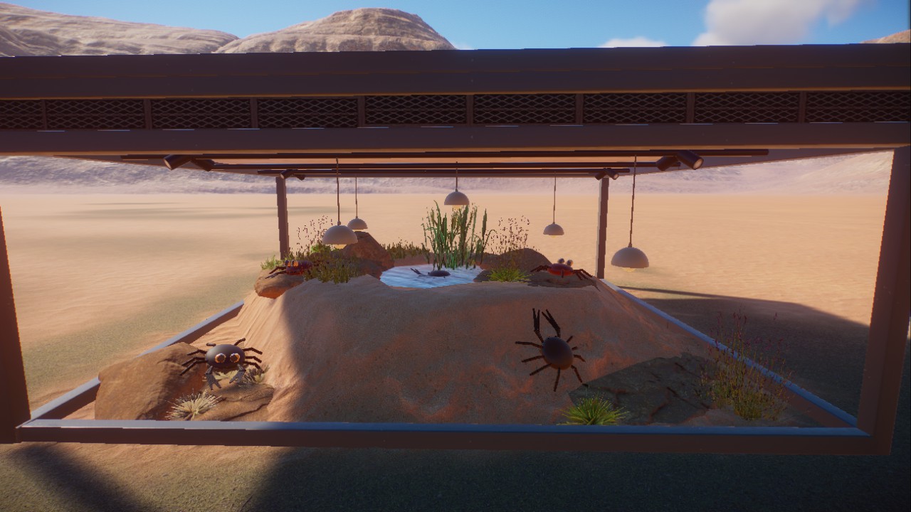 terrarium for crabs, Terrarium mit Krebsen