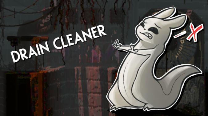 Drain Cleaner