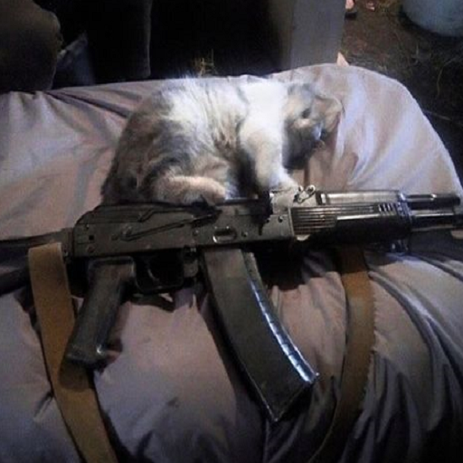 notcoffin tacFPS Daily